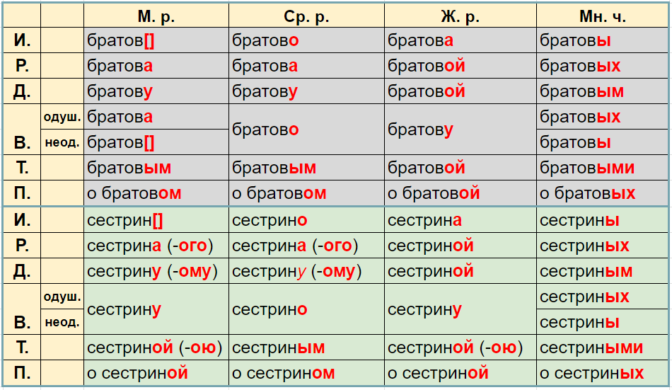 Спряжение притяжательных прилагательных.