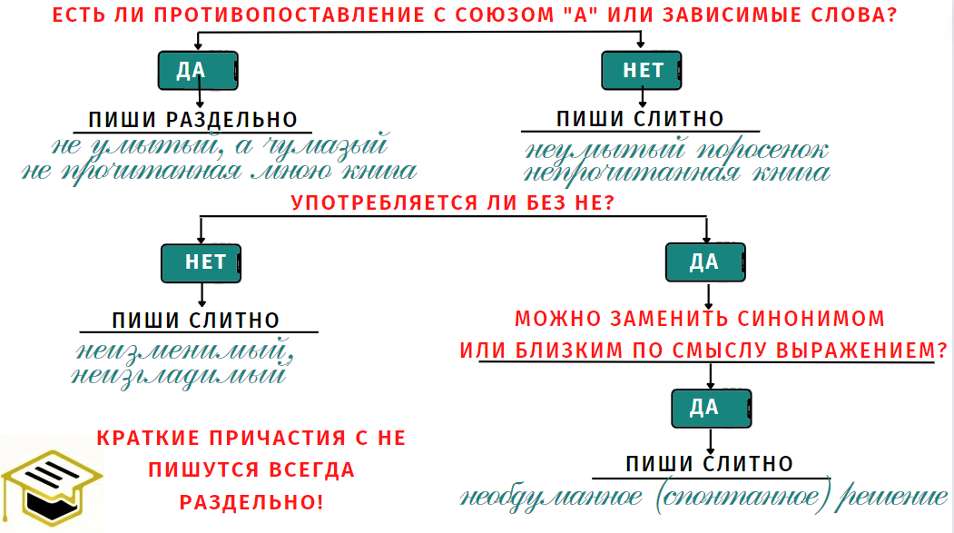 Алгоритм правописания причастий с НЕ